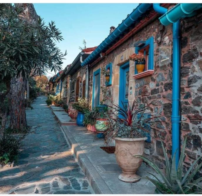 Las Tortoras Apartamento Amélie-les-Bains-Palalda Exterior foto